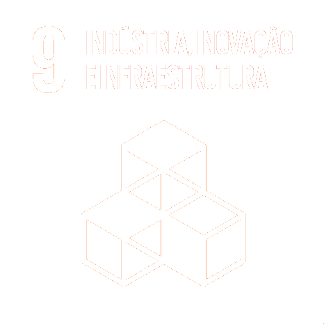 ODS 9 — Indústria, Inovação e Infraestrutura
