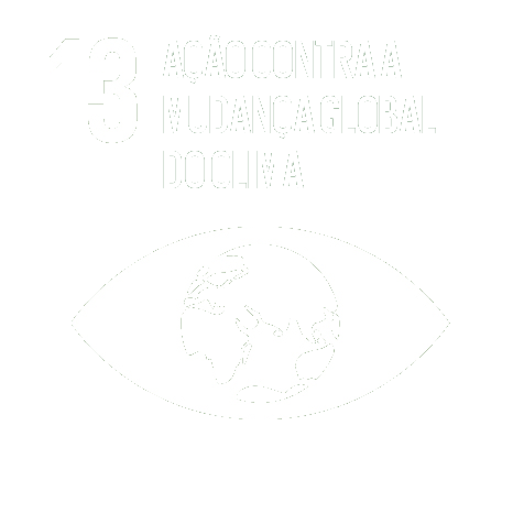 ODS 13 — Ação Contra a Mudança Global do Clima